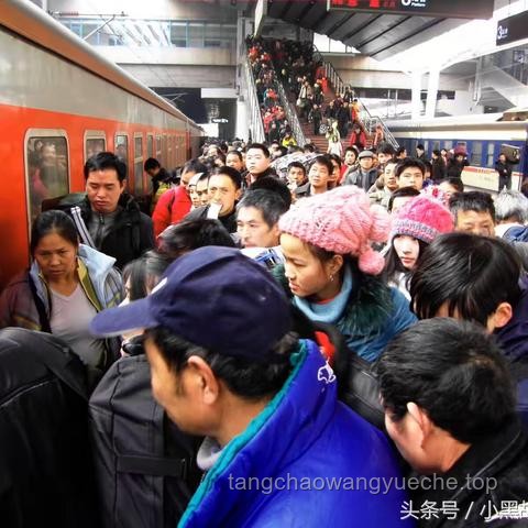 🎉生命迁徙：以死亡为名的团圆之旅